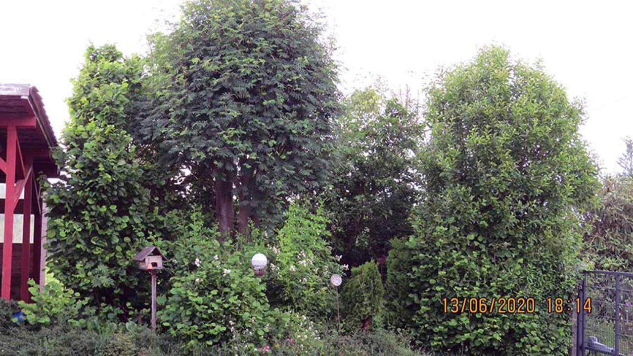 Villa Casa Roja Hilders Exterior foto